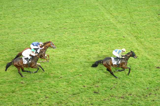 Photo d'arrivée de la course pmu PRIX ROGER SOULANGE-BODIN à AUTEUIL le Samedi 17 octobre 2015