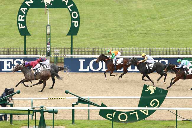 Photo d'arrivée de la course pmu PRIX DU CARREFOUR SAINT-REMY à CHANTILLY le Dimanche 18 octobre 2015