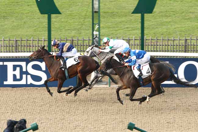 Photo d'arrivée de la course pmu PRIX DU BOIS TURQUET à CHANTILLY le Dimanche 18 octobre 2015