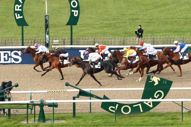 Photo d'arrivée de la course pmu PRIX DU BOIS DU LIEUTENANT à CHANTILLY le Dimanche 18 octobre 2015