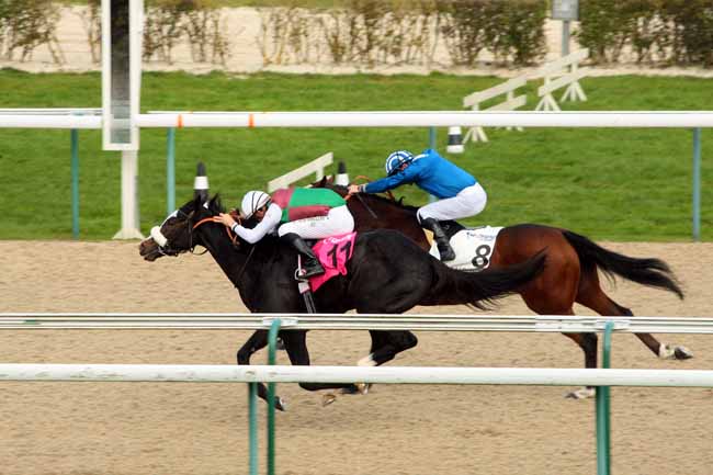 Photo d'arrivée de la course pmu PRIX DES EQUIDAYS à DEAUVILLE le Mardi 20 octobre 2015