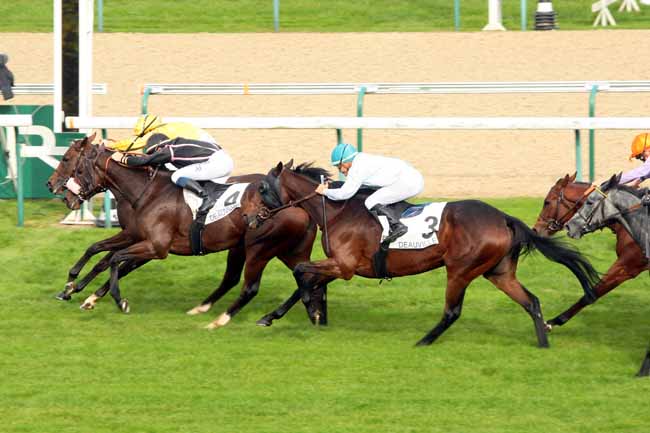 Photo d'arrivée de la course pmu PRIX DE LA MUANCE à DEAUVILLE le Mardi 20 octobre 2015