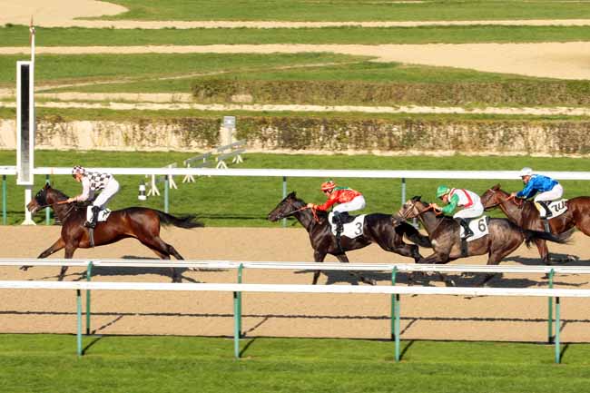 Photo d'arrivée de la course pmu PRIX DU BERGERET à DEAUVILLE le Mardi 20 octobre 2015