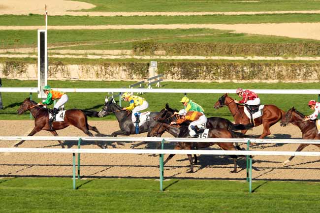 Photo d'arrivée de la course pmu PRIX DES VENTES D'OCTOBRE à DEAUVILLE le Mardi 20 octobre 2015