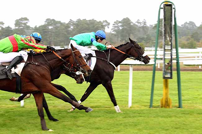 Photo d'arrivée de la course pmu PRIX DE LA CHAMBRE DE COMMERCE ET D'INDUSTRIE DE SEINE ET MARN à FONTAINEBLEAU le Mardi 20 octobre 2015