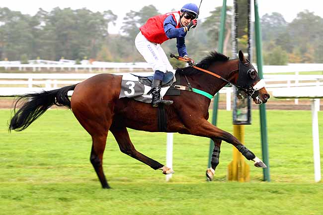 Photo d'arrivée de la course pmu PRIX ESMONDO à FONTAINEBLEAU le Mardi 20 octobre 2015