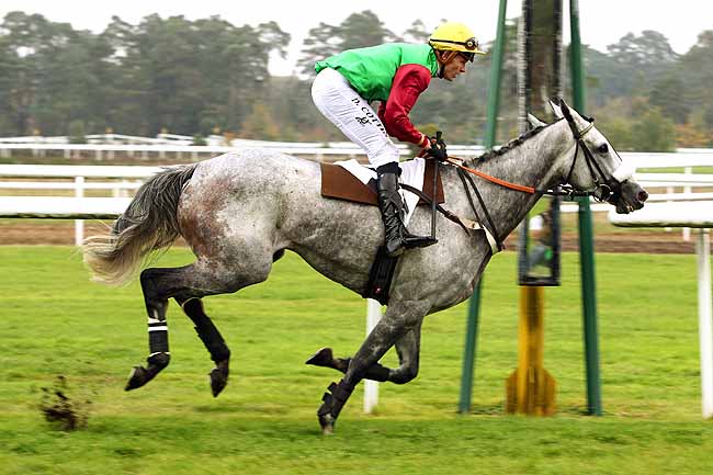 Photo d'arrivée de la course pmu PRIX RADIO EVASION à FONTAINEBLEAU le Mardi 20 octobre 2015