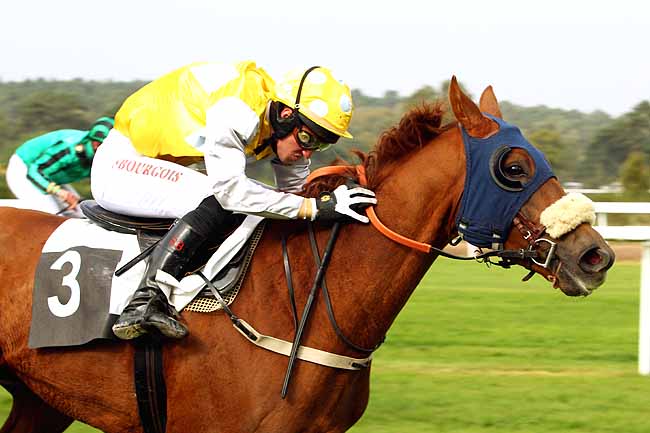 Photo d'arrivée de la course pmu PRIX DU RALLYE FONTAINEBLEAU à FONTAINEBLEAU le Mardi 20 octobre 2015