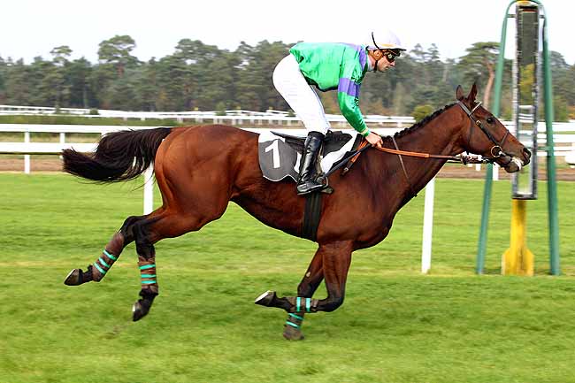 Photo d'arrivée de la course pmu PRIX DU CENTRE SPORTIF D'EQUITATION MILITAIRE à FONTAINEBLEAU le Mardi 20 octobre 2015