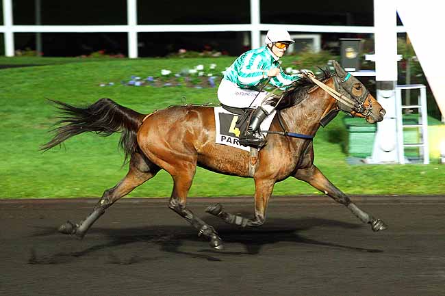 Photo d'arrivée de la course pmu PRIX ORION à PARIS-VINCENNES le Mardi 20 octobre 2015