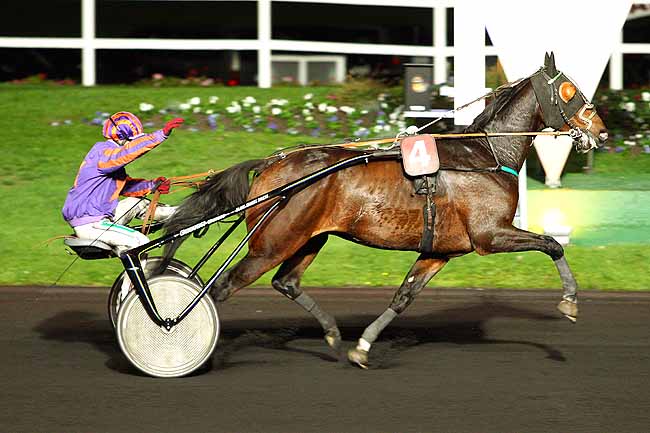 Photo d'arrivée de la course pmu PRIX CALIFORNIA à PARIS-VINCENNES le Mardi 20 octobre 2015