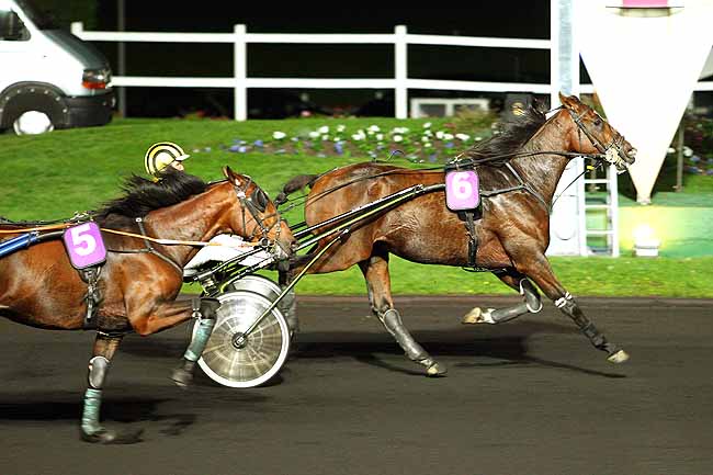 Photo d'arrivée de la course pmu PRIX CASTOR à PARIS-VINCENNES le Mardi 20 octobre 2015