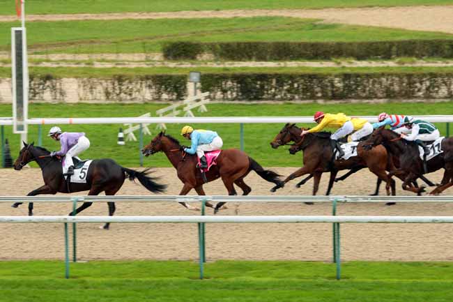 Photo d'arrivée de la course pmu PRIX DU POLE INTERNATIONAL DU CHEVAL à DEAUVILLE le Mercredi 21 octobre 2015