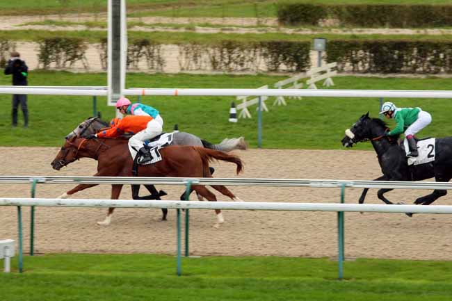 Photo d'arrivée de la course pmu PRIX DE L'EPRONNIERE à DEAUVILLE le Mercredi 21 octobre 2015