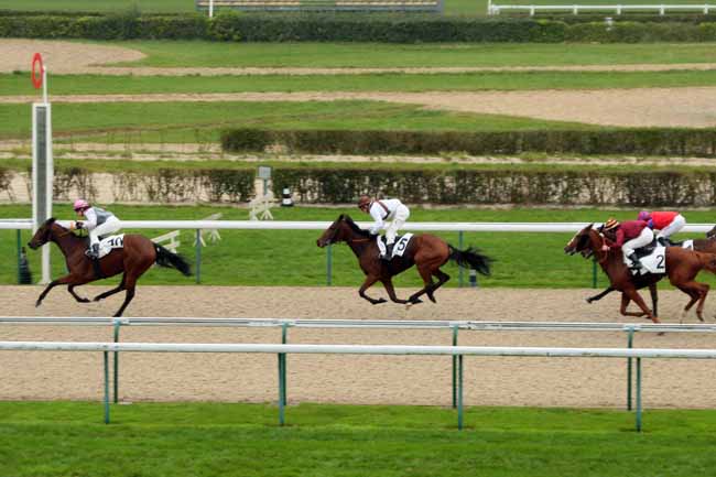 Photo d'arrivée de la course pmu PRIX DE LA CORNILLIERE à DEAUVILLE le Mercredi 21 octobre 2015