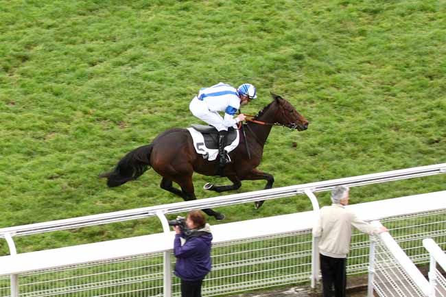 Photo d'arrivée de la course pmu PRIX FALZAREGO à AUTEUIL le Jeudi 22 octobre 2015
