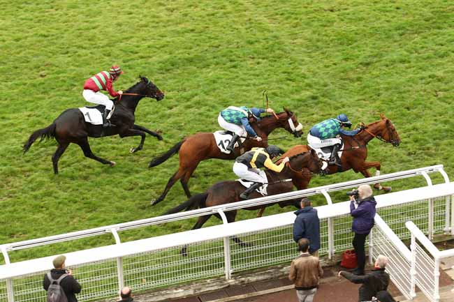 Photo d'arrivée de la course pmu PRIX LUSIGNAN à AUTEUIL le Jeudi 22 octobre 2015