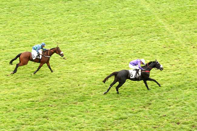 Photo d'arrivée de la course pmu PRIX CLAUDE LE LORRAIN à AUTEUIL le Jeudi 22 octobre 2015