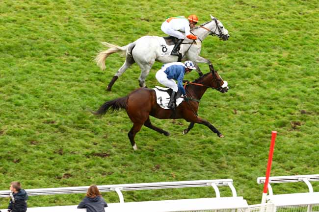 Photo d'arrivée de la course pmu PRIX HIPPARQUE à AUTEUIL le Jeudi 22 octobre 2015