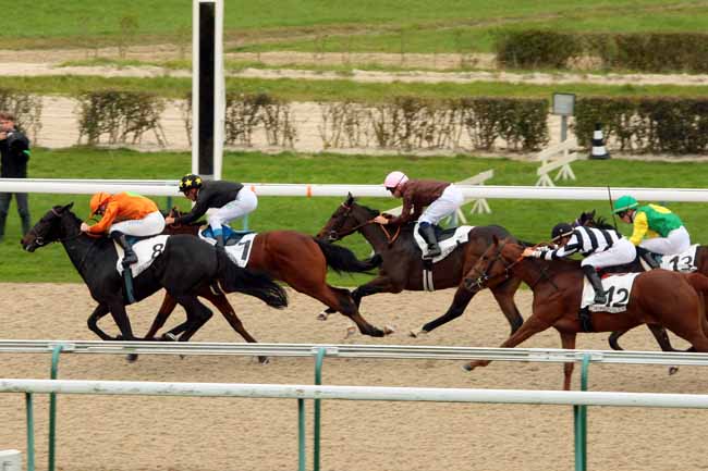 Photo d'arrivée de la course pmu PRIX DE LA GOUSSERIE à DEAUVILLE le Jeudi 22 octobre 2015