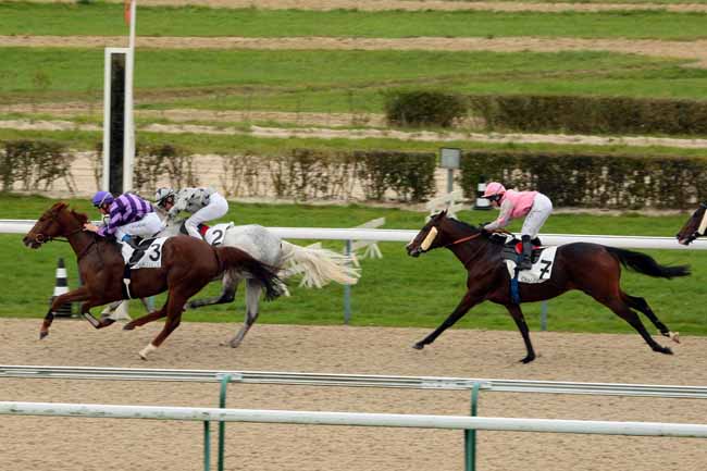 Photo d'arrivée de la course pmu PRIX DE BREVILLE à DEAUVILLE le Jeudi 22 octobre 2015