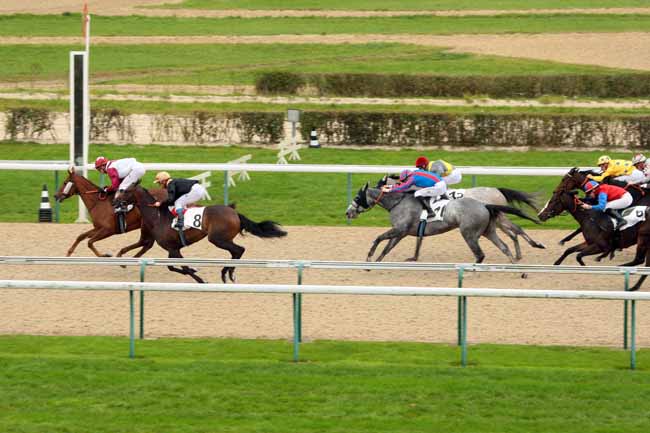 Photo d'arrivée de la course pmu PRIX DE LA SANNE à DEAUVILLE le Jeudi 22 octobre 2015