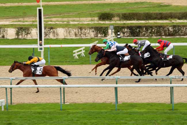 Photo d'arrivée de la course pmu PRIX DU BOCAGE NORMAND à DEAUVILLE le Vendredi 23 octobre 2015