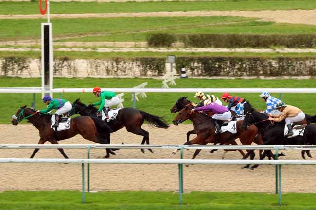 Photo d'arrivée de la course pmu PRIX DE LA FONTAINE MARIE à DEAUVILLE le Vendredi 23 octobre 2015