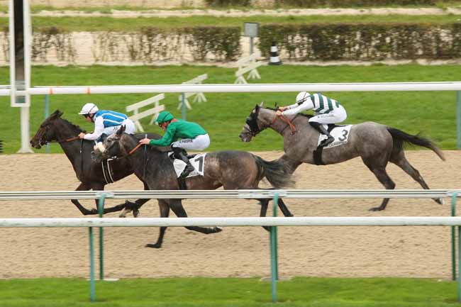 Photo d'arrivée de la course pmu PRIX DES LAIS DE MER à DEAUVILLE le Vendredi 23 octobre 2015