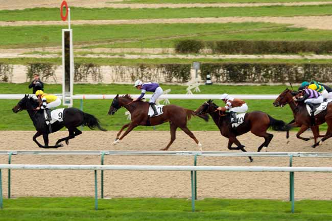 Photo d'arrivée de la course pmu PRIX DU LIEU DES FIEFFES à DEAUVILLE le Vendredi 23 octobre 2015