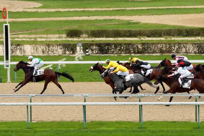 Photo d'arrivée de la course pmu PRIX DES FRESIAS à DEAUVILLE le Vendredi 23 octobre 2015