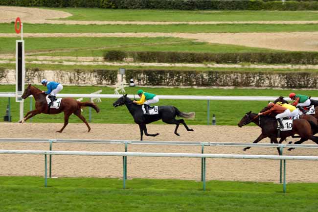Photo d'arrivée de la course pmu PRIX DE SAINT-JOUIN à DEAUVILLE le Vendredi 23 octobre 2015