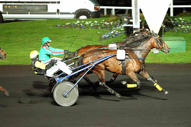 Photo d'arrivée de la course pmu PRIX PIERRE VAN TROYEN à PARIS-VINCENNES le Vendredi 23 octobre 2015