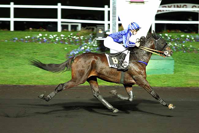 Photo d'arrivée de la course pmu PRIX CORDUBA à PARIS-VINCENNES le Vendredi 23 octobre 2015