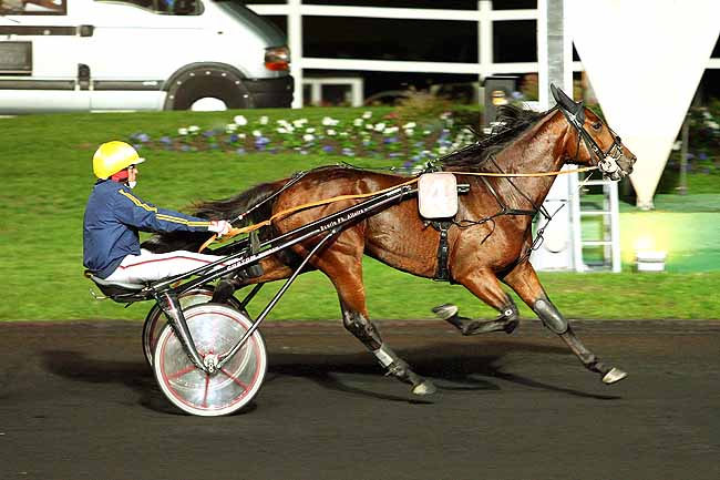 Photo d'arrivée de la course pmu PRIX LOUIS CAUCHOIS à PARIS-VINCENNES le Vendredi 23 octobre 2015
