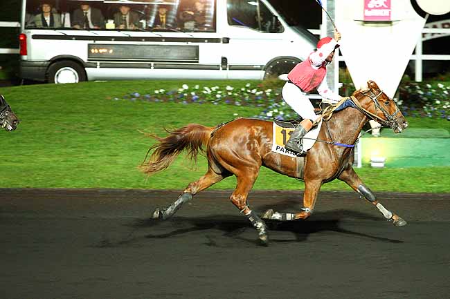 Photo d'arrivée de la course pmu PRIX ARIADNE à PARIS-VINCENNES le Vendredi 23 octobre 2015
