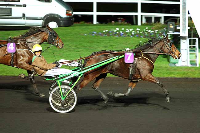 Photo d'arrivée de la course pmu PRIX CYANE à PARIS-VINCENNES le Vendredi 23 octobre 2015