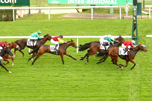 Photo d'arrivée de la course pmu PRIX DES FALAISES DE CRAIES à SAINT-CLOUD le Dimanche 25 octobre 2015