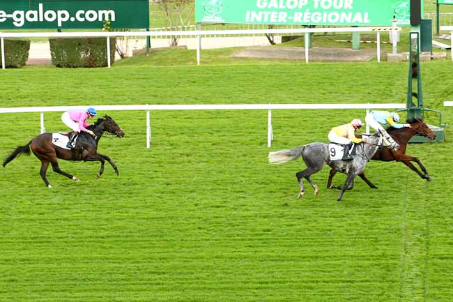 Photo d'arrivée de la course pmu PRIX COLONEL BERNARD MARLIN à SAINT-CLOUD le Dimanche 25 octobre 2015