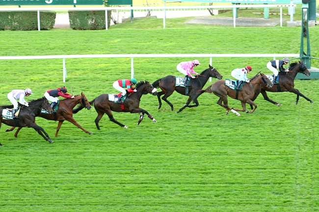 Photo d'arrivée de la course pmu FINALE DU GALOP TOUR INTER-REGIONAL (GTI) à SAINT-CLOUD le Dimanche 25 octobre 2015