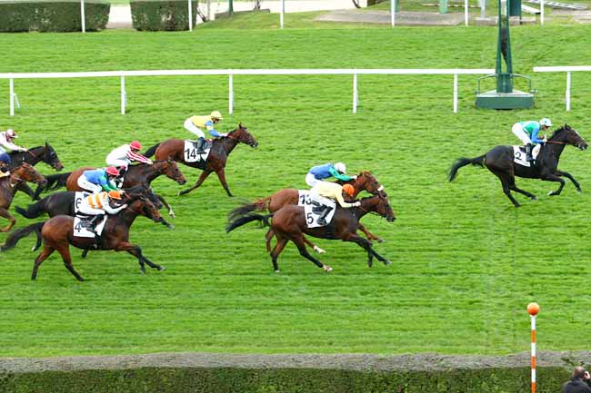Photo d'arrivée de la course pmu PRIX DES BORDS DE SEINE à SAINT-CLOUD le Dimanche 25 octobre 2015