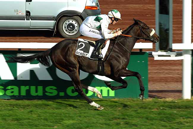Photo d'arrivée de la course pmu PRIX INDIA SONG à MARSEILLE-BORELY le Lundi 26 octobre 2015