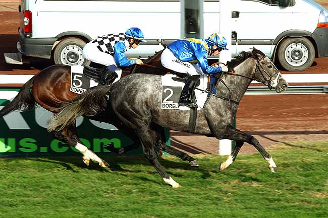 Photo d'arrivée de la course pmu PRIX GYPTIS à MARSEILLE-BORELY le Lundi 26 octobre 2015