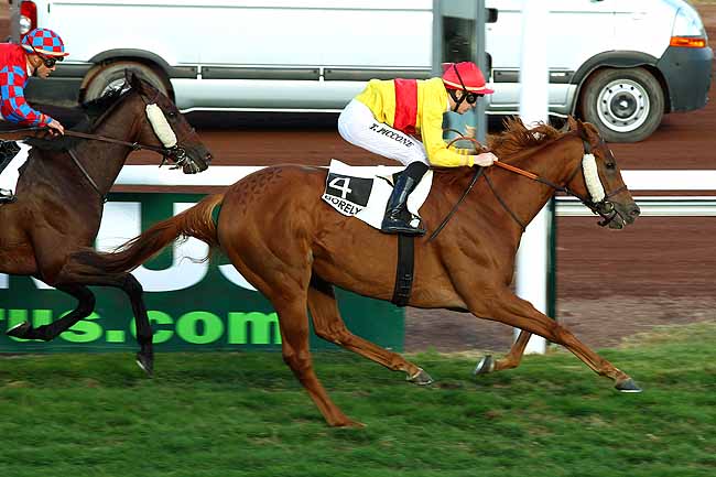 Photo d'arrivée de la course pmu PRIX DES SOCIETAIRES à MARSEILLE-BORELY le Lundi 26 octobre 2015