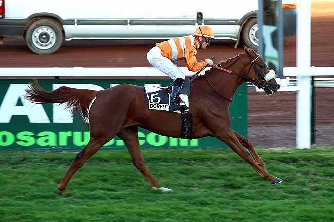 Photo d'arrivée de la course pmu PRIX SABY ZARAYA à MARSEILLE-BORELY le Lundi 26 octobre 2015