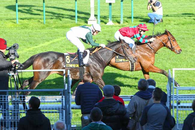 Photo d'arrivée de la course pmu PRIX DES BEAUX MONTS à COMPIEGNE le Lundi 26 octobre 2015