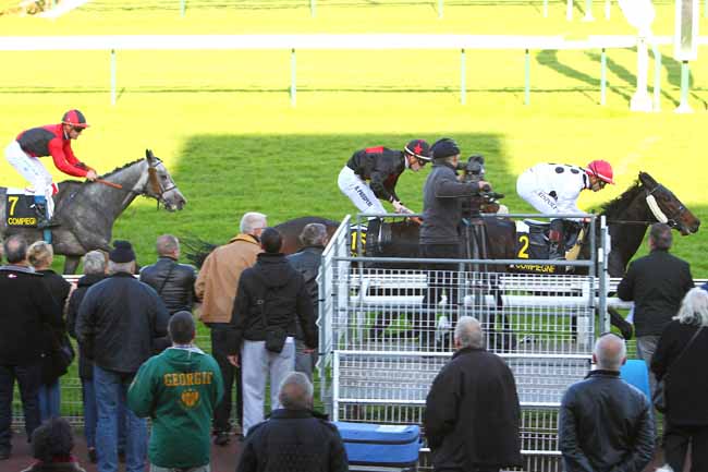 Photo d'arrivée de la course pmu PRIX DES NEUF FONTAINES à COMPIEGNE le Lundi 26 octobre 2015