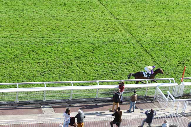 Photo d'arrivée de la course pmu PRIX EMILIUS (DEUXIEME PELOTON) à AUTEUIL le Mardi 27 octobre 2015