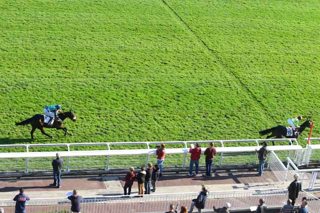 Photo d'arrivée de la course pmu PRIX CEREALISTE à AUTEUIL le Mardi 27 octobre 2015