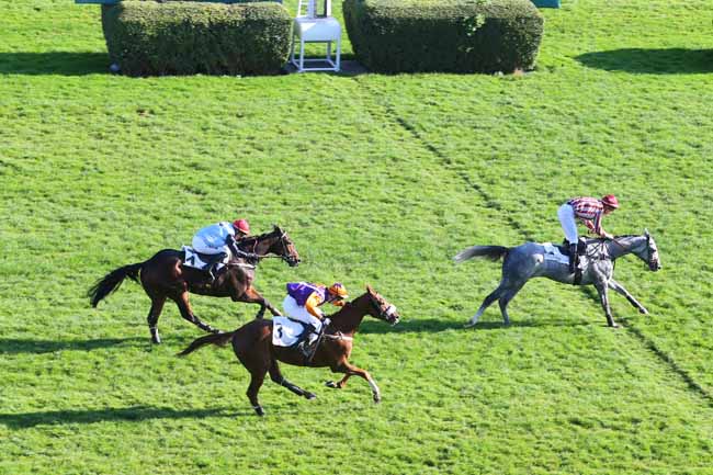 Photo d'arrivée de la course pmu PRIX TRIQUERVILLE à AUTEUIL le Mardi 27 octobre 2015
